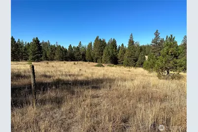 0 Three Mountains Meadows, Goldendale, WA 98620 - Photo 1