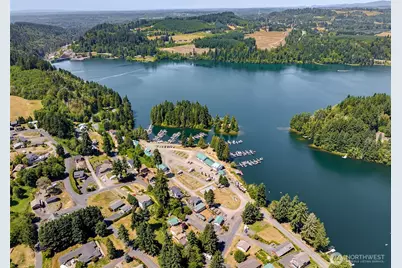 103 Lakeside Drive, Mossyrock, WA 98564 - Photo 38