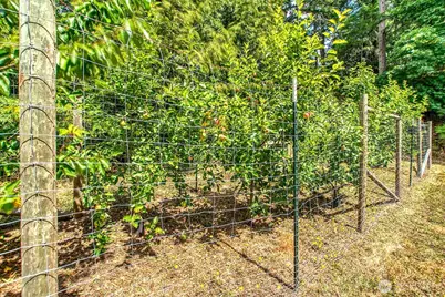 308 Kimple Lane, Orcas Island, WA 98245 - Photo 34