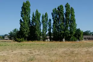 9015 183rd Ave SW, Rochester, WA 98579 - Photo 24