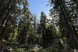 63388 E Ross Pl, Marblemount, WA 98267 - Photo 16