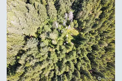 0 N Robinson Road, Hoodsport, WA 98548 - Photo 14