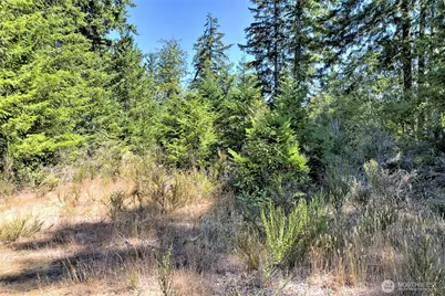 12 Acres Webb Hill Road, Union, WA 98592 - Photo 6