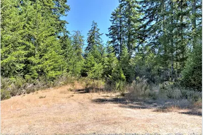 12 Acres Webb Hill Road, Union, WA 98592 - Photo 2