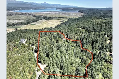 12 Acres Webb Hill Road, Union, WA 98592 - Photo 12