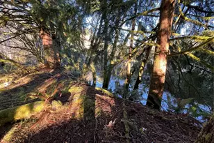 1329 State Route 4, Naselle, WA 98638 - Photo 12