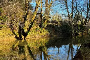 1329 State Route 4, Naselle, WA 98638 - Photo 14