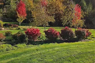 1851 Bloomhardt Rd, Raymond, WA 98577 - Photo 22