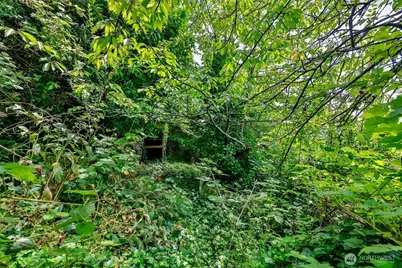 0 W Adams Street, Hoquiam, WA 98550 - Photo 12