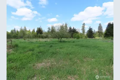 3898 State Route 6, Chehalis, WA 98532 - Photo 16