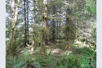 3898 State Route 6, Chehalis, WA 98532 - Photo 12