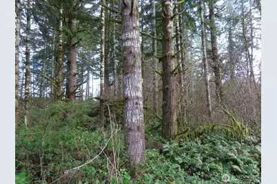 3898 State Route 6, Chehalis, WA 98532 - Photo 32