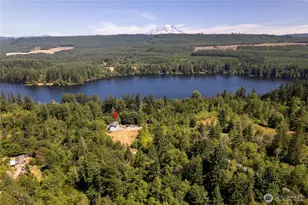 31410 Orville Rd E, Graham, WA 98338 - Photo 2