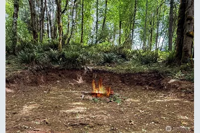 220 Tara Lane, Vader, WA 98593 - Photo 28