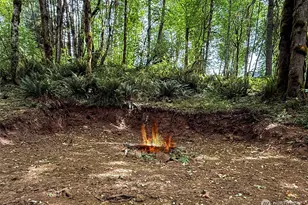 220 Tara Ln, Vader, WA 98593 - Photo 28