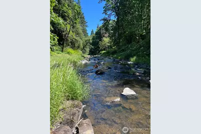 220 Tara Lane, Vader, WA 98593 - Photo 30