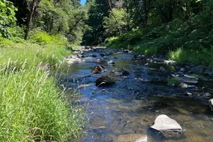 220 Tara Ln, Vader, WA 98593 - Photo 30