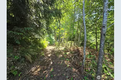 0 0 Highland Valley Road, Morton, WA 98356 - Photo 6