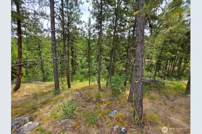 25 Outback Road, Oroville, WA 98844 - Photo 10