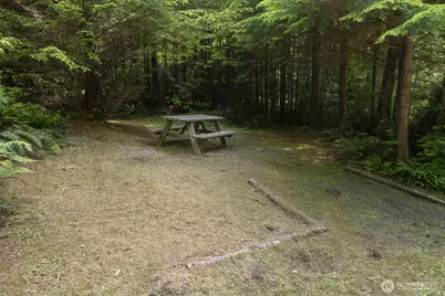 20860 Hoko-Ozette Road, Clallam Bay, WA 98326 - Photo 20