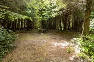 20860 Hoko-Ozette Rd, Clallam Bay, WA 98326 - Photo 16