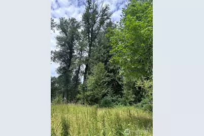 56002 E 317th Avenue E, Ashford, WA 98304 - Photo 6