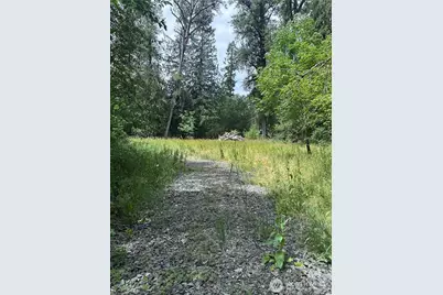 56002 E 317th Avenue E, Ashford, WA 98304 - Photo 1
