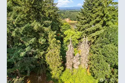 31315 NW 71st Avenue, Ridgefield, WA 98642 - Photo 6