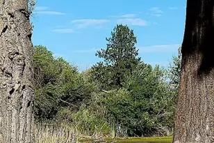 133 Woodhouse Loop, Ellensburg, WA 98926 - Photo 4