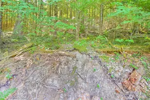 32750 343rd Ave SE, Ravensdale, WA 98051 - Photo 32