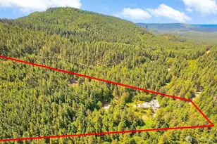 32750 343rd Ave SE, Ravensdale, WA 98051 - Photo 6