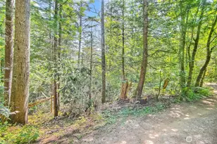 32750 343rd Ave SE, Ravensdale, WA 98051 - Photo 24