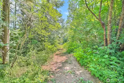 32750 343rd Ave SE, Ravensdale, WA 98051 - Photo 28