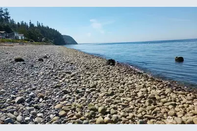 150 West Street, Sequim, WA 98382 - Photo 4