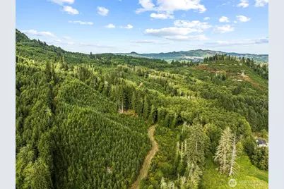1 Lot A State Route 4 Highway, Skamokawa, WA 98647 - Photo 4