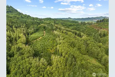 1 Lot A State Route 4 Highway, Skamokawa, WA 98647 - Photo 6