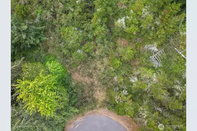 1016 Lola Court, Ocean Shores, WA 98569 - Photo 4