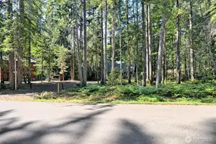 331 N Wynoochee Dr, Hoodsport, WA 98548 - Photo 6