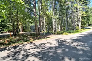 331 N Wynoochee Dr, Hoodsport, WA 98548 - Photo 4