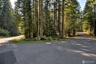 331 N Wynoochee Dr, Hoodsport, WA 98548 - Photo 24