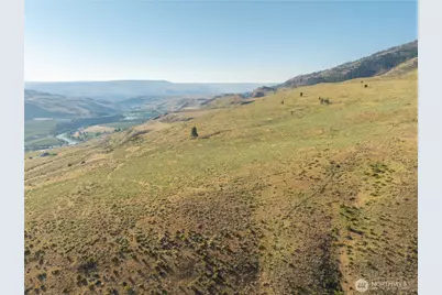 0 Goat Ridge Lot 6 - Hwy 153 #6, Pateros, WA 98846 - Photo 2