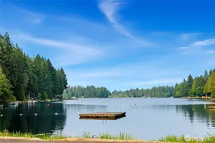 80 E Skookum Dr, Shelton, WA 98584 - Photo 28