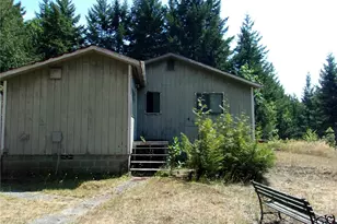 371 Green Mountain Ln, Brinnon, WA 98320 - Photo 2