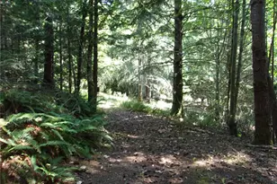 371 Green Mountain Ln, Brinnon, WA 98320 - Photo 14