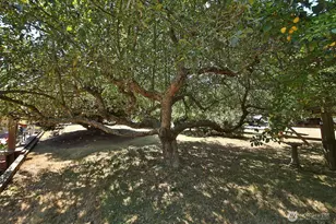 5772 Captain Vancouver Dr, Langley, WA 98260 - Photo 6