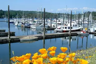 61 McCartney Peak Ln, Port Ludlow, WA 98365 - Photo 16