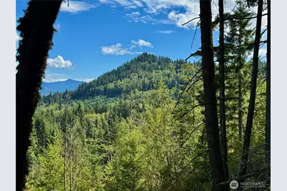 49923 146th Avenue E, Eatonville, WA 98328 - Photo 6