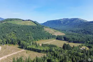 944 State Route 7, Morton, WA 98356 - Photo 24