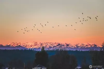 17535 NE Midnight Sun Loop, Poulsbo, WA 98370 - Photo 38