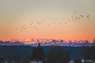 17535 NE Midnight Sun Loop, Poulsbo, WA 98370 - Photo 38